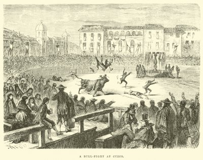 En tyrefægtning i Cuzco af Edouard Riou